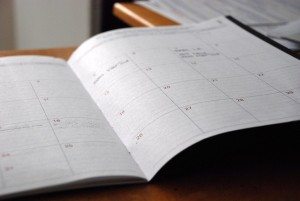 2015 calendar with daily goals