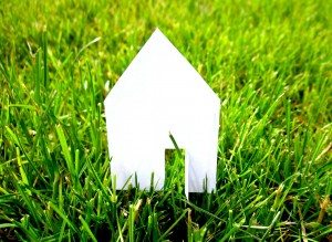 house cutout on grass