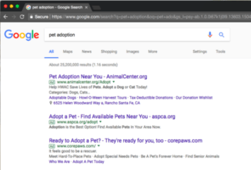 Adwords Ads on Google Search Results Page